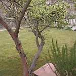 Hostal Apartmani Stolac Stolac