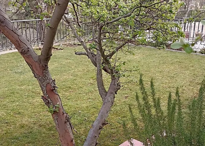 Hostel Apartmani Stolac Stolac